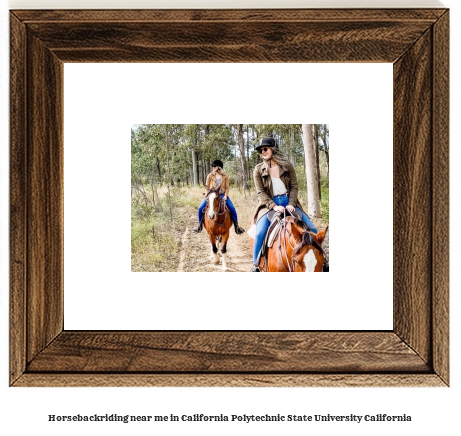 horseback riding near me in California Polytechnic State University, California